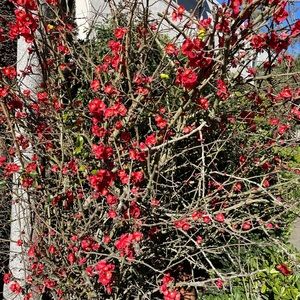 Meet your Posher, Minh